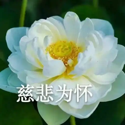 互粉
