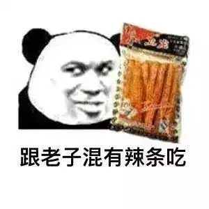 熊猫头表情包i是什么蒙蔽了我的双眼
