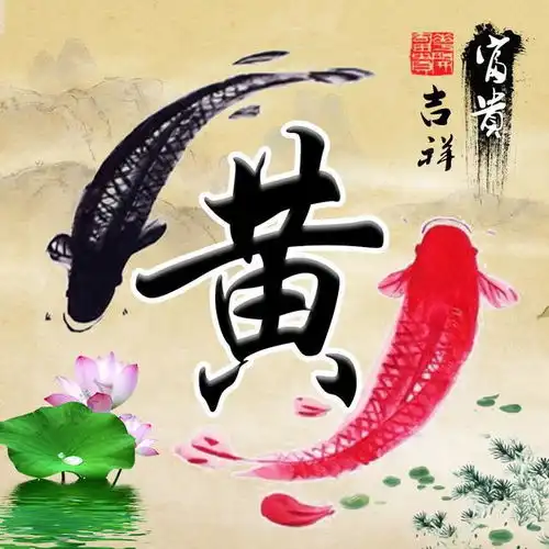 富贵鲤鱼姓氏头像,能带来好运财运,足足21张

