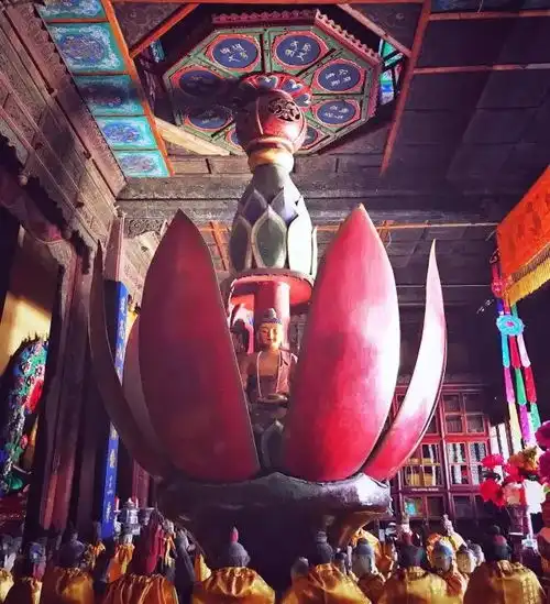 清凉赏析罗睺寺开花现佛

