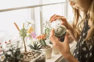 春季精致女人养成计划,你值得拥有更好的
