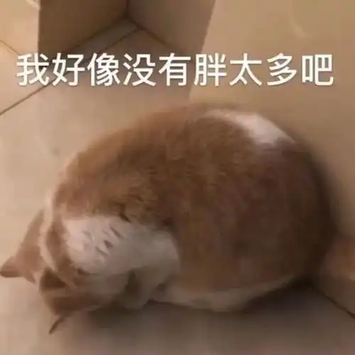 表情包低调路过

