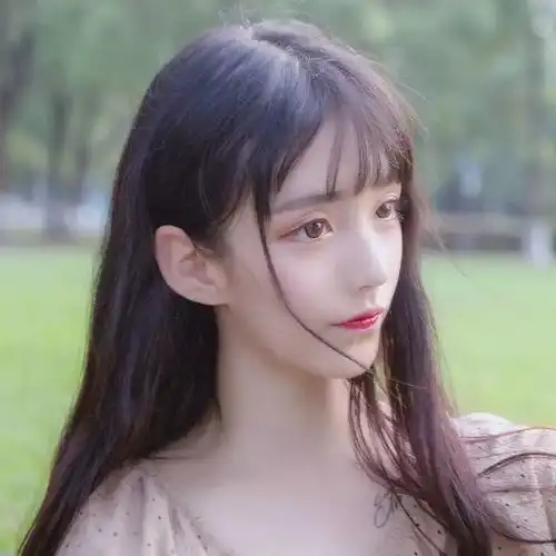 女生头像凤兮凤兮归故乡

