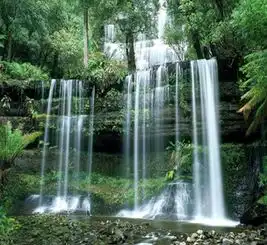 头像佛系禅意山水园林景观