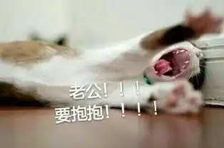 一组喊老公表情包简直萌翻了
