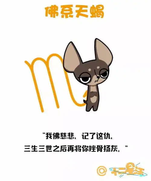 第一批佛系12星座已经诞生
