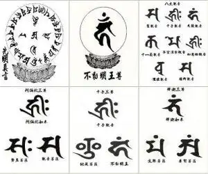种子字
