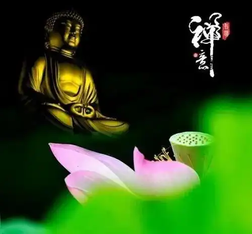 婚后偷情出轨,不管做得多隐秘,必然会有这些后果
