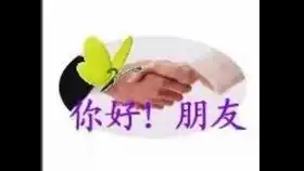 主人把猫咪做成表情包,从此与长辈聊天再也没代沟了
