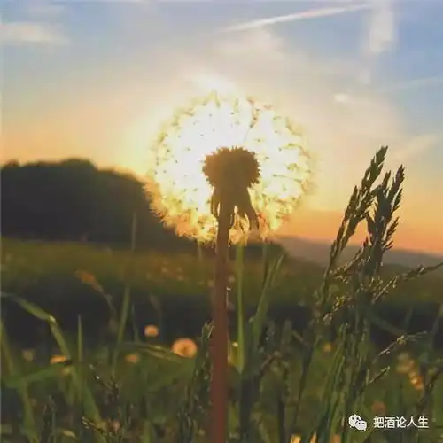 每个人都要对自己和未来负责
